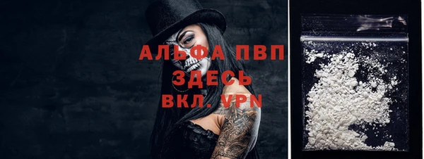 амф Белоозёрский