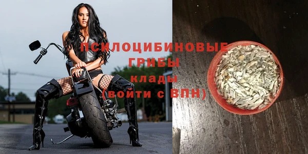 скорость Богородск
