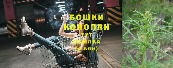 гидра Саяногорск