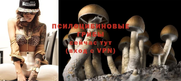 амф Белоозёрский