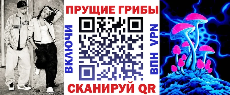 Галлюциногенные грибы Cubensis как найти Сковородино